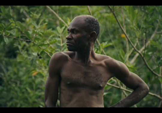 UWI to host next ttff, bpTT Community Cinergy screening