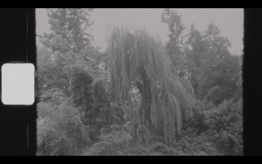 Image Caption: Featured image for ‘Shade’.