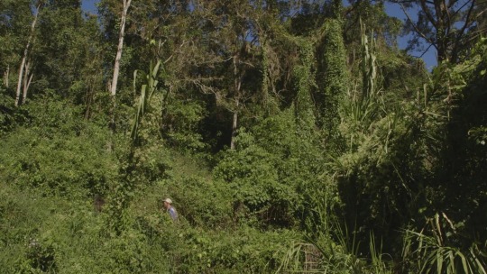 Image Caption: Featured image for ‘El Mundo Que Nos Rodea (The Surrounding World)’.