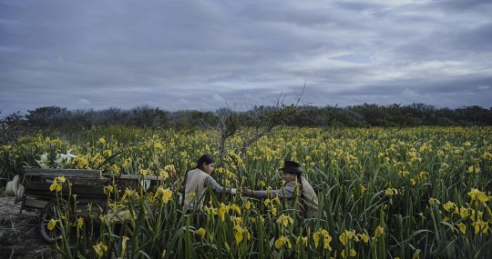 Image Caption: Featured image for ‘La Vendedora de Liros (The Lillies’ Seller)’.