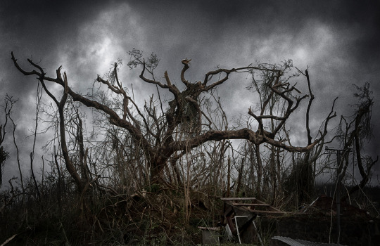 Image Caption: Featured image for ‘Dominica: Three Years After Hurricane Maria’.