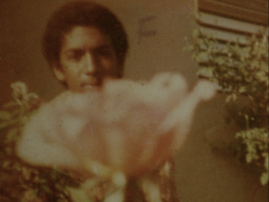 Image Caption: Featured image for ‘Canto Errante (Wandering Song)’.