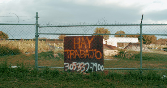 Image Caption: Featured image for ‘Monarcas’.