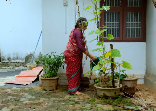Image Caption: Featured image for ‘When I Look at the Horizon’.