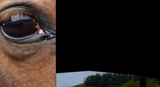 Image Caption: Featured image for ‘Bezuna’.